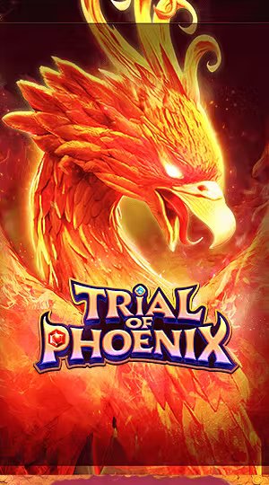 Chiến Binh Samurai